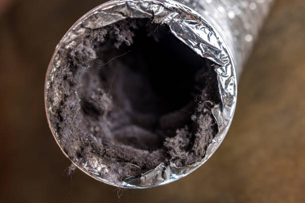 Best Local Air Duct Cleaning Services  in Walsenburg, CO